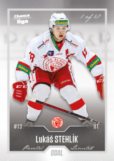 Hokejová karta Lukáš Stehlík Goal Cards 2022-23 Série 2 Silver karta č.310